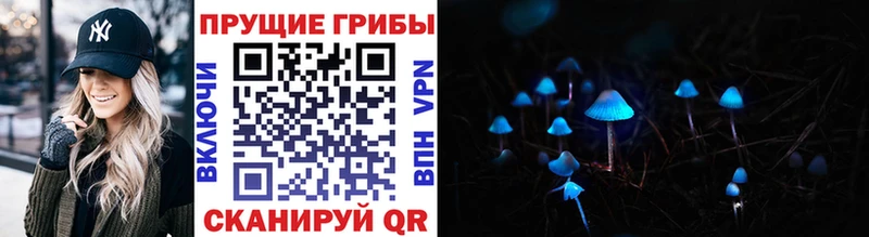 Галлюциногенные грибы Psilocybine cubensis  Княгинино 